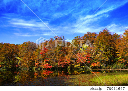 刈込池 紅葉 白山国立公園 刈込池 紅葉 白山国立公園 70911647