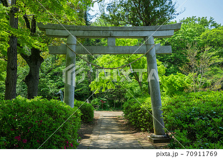 東京 八王子 片倉城跡公園 住吉神社の鳥居 東京 八王子 片倉城跡公園 住吉神社の鳥居 70911769