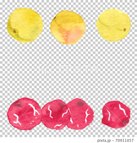 大梅和梅干 大梅和梅干 70911857