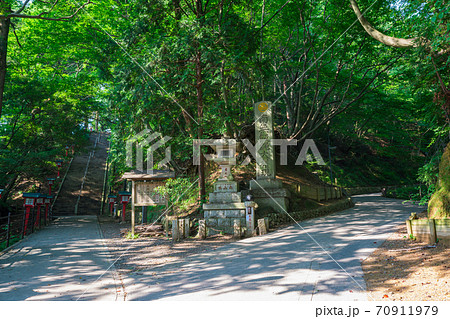 高尾山の登山道　男坂と女坂 70911979