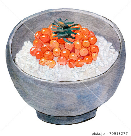 水彩イラスト　食品　いくら丼 70913277