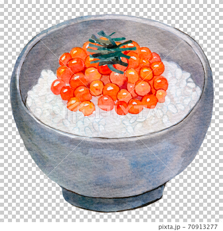 水彩イラスト　食品　いくら丼 70913277