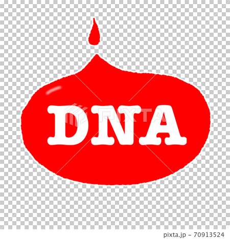 基因 DNA 70913524