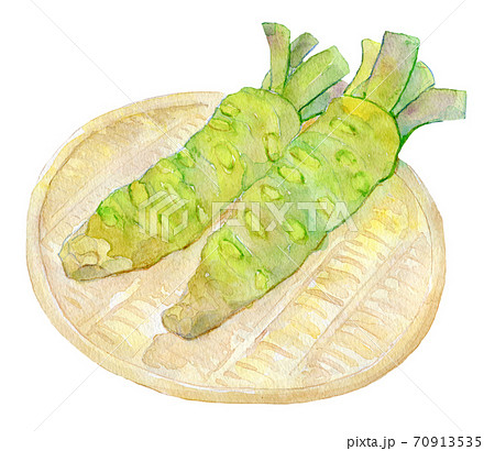 水彩イラスト　食品　わさび 70913535