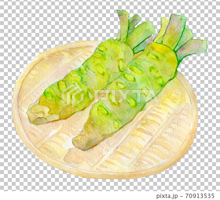水彩插圖食品芥末 水彩插圖食品芥末 70913535