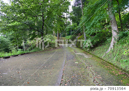 東福寺へ行きました　　＃1 70913564