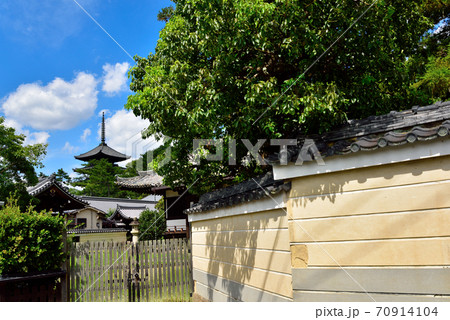 奈良　興福寺の五重の塔 70914104