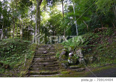 東福寺へ行きました #29 東福寺へ行きました #29 70914404