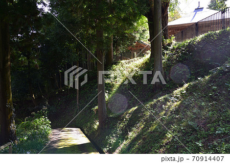 東福寺へ行きました　　＃26 70914407