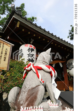 犬伝説が伝わる 伊奴神社 愛知県名古屋市 の写真素材
