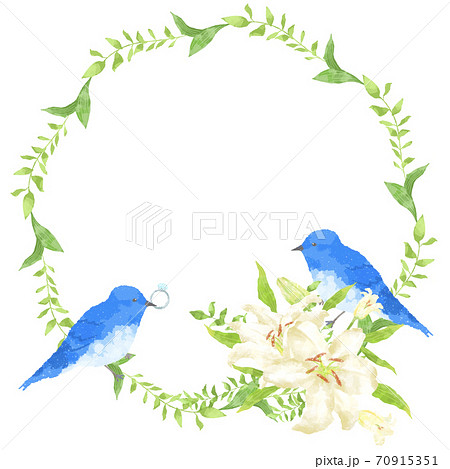 優しいタッチの幸せを運ぶ青い鳥のカップルとカサブランカのフレームのイラスト素材