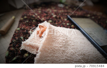 引きこもり 70915484