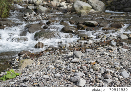 渓流の流れ 70915980