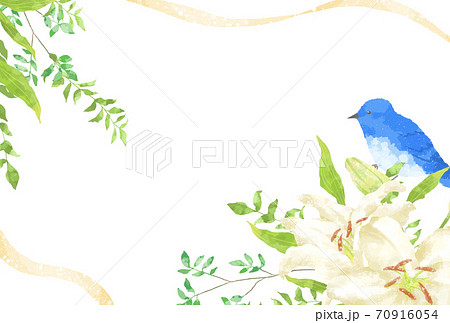 優しいタッチの幸せを運ぶ青い鳥とカサブランカのイラスト 優しいタッチの幸せを運ぶ青い鳥とカサブランカのイラスト 70916054