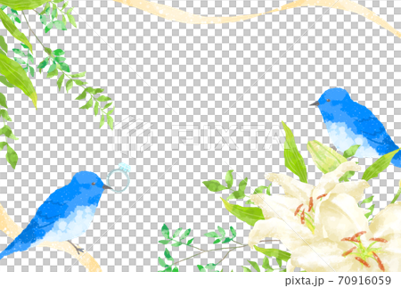 優しいタッチの幸せを運ぶ青い鳥のカップルとカサブランカのイラスト 70916059