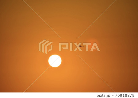 The plane is gaining altitude, with evenly spread wings. Flies in the orange sunset.  70918879