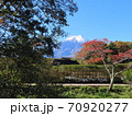 忍野八海から見た富士山 70920277