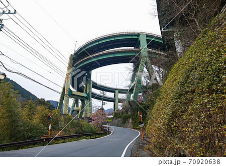 静岡県・伊豆/ 河津桜と河津七滝ループ橋（河津高架橋） 70920638