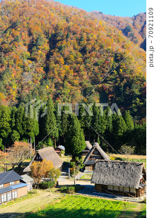 富山県 秋 五箇山 菅沼合掌造り集落 富山県 秋 五箇山 菅沼合掌造り集落 70921109