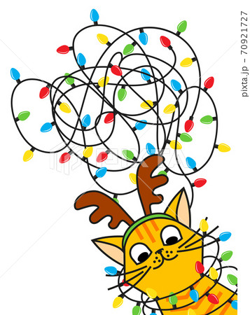 Red cat tangled christmas lights in christmas deer Red cat tangled christmas lights in christmas deer 70921727