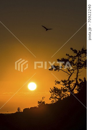 九龍浦 岩島 ソルソム 70922240