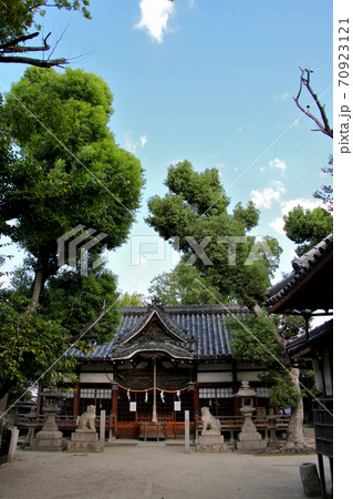 大阪・平野区喜連環濠都市の街歩きで見つけた古社　楯原神社　式内楯原神社とも　空を広々と撮影　縦位置 70923121