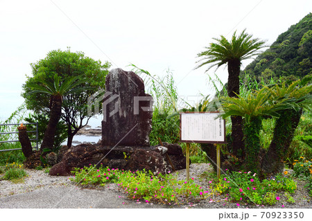 羽根岬【室戸世界ジオパーク】 羽根岬【室戸世界ジオパーク】 70923350