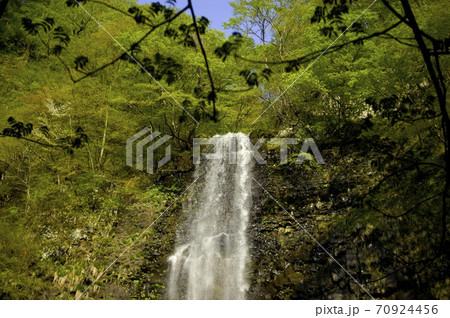 玉簾の滝 70924456