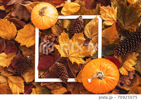 white square frame on autumn multicolored leaves 70925075