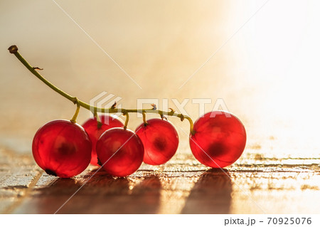 redcurrant berries on a wooden background in the sun redcurrant berries on a wooden background in the sun 70925076