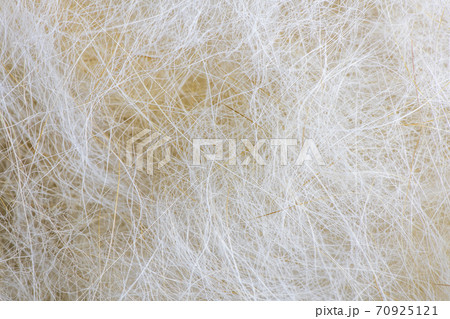 macro, close up. Bunch of dog's hair fur after brushing and grooming. macro, close up. Bunch of dog's hair fur after brushing and grooming. 70925121