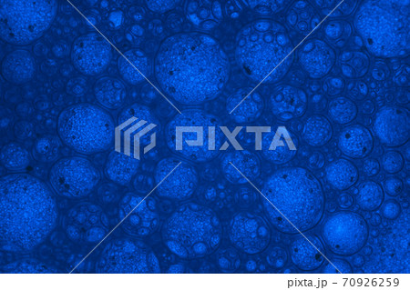 Beautiful abstract blue bubbles in water extreme. Abstract nature pattrn for design. Macro photogrpaphy view. Beautiful abstract blue bubbles in water extreme. Abstract nature pattrn for design. Macro photogrpaphy view. 70926259