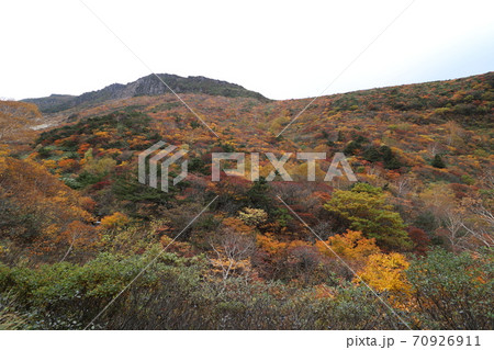 秋の紅葉ピークの時期の福島県の安達太良山 70926911