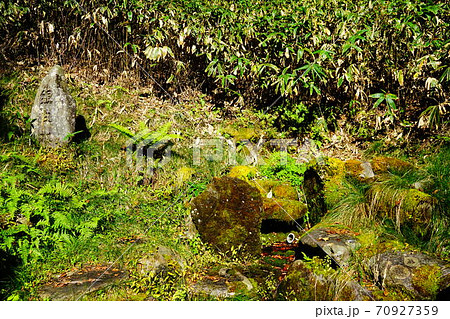 八溝山 八溝五水 銀性水 八溝山 八溝五水 銀性水 70927359