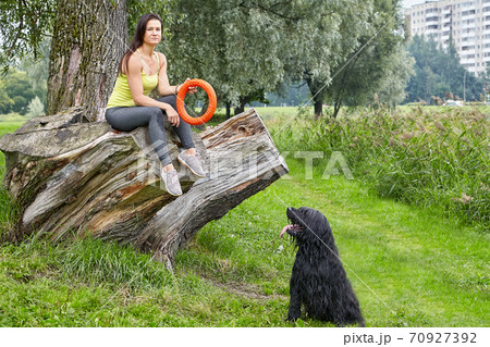 Female owner plays with briard in park. Female owner plays with briard in park. 70927392