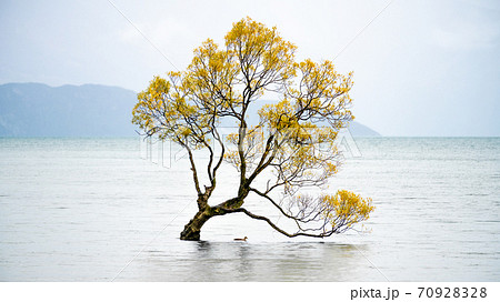 Scenic peaceful of lake wanaka in the morning, Scenic peaceful of lake wanaka in the morning, 70928328