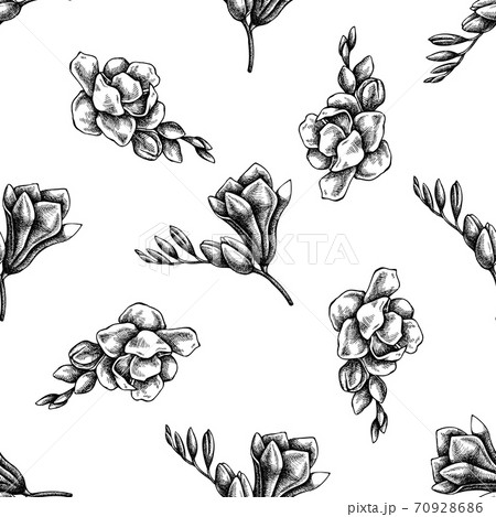 Seamless Pattern With Black And White Freesiaのイラスト素材