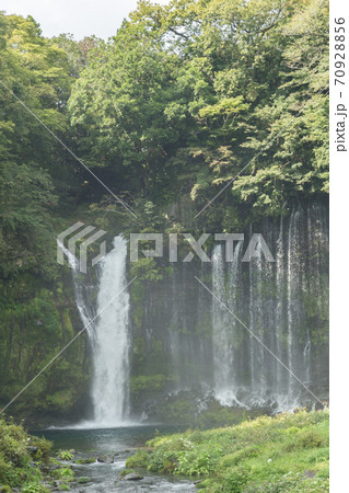 静岡県　白糸の滝 70928856