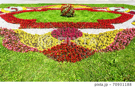 Flower bed with different colorful flowers 70931188