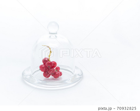 Branch of red currant in a glass plate under a glass cover on a white background Branch of red currant in a glass plate under a glass cover on a white background 70932825