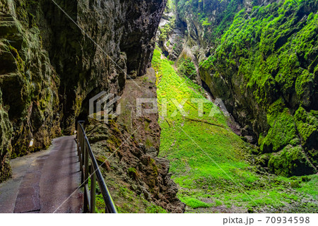 Macocha Abyss - large limestone gorge in Moravian Karst, Czech: Moravsky Kras, Czech Republic. View from bottom. Macocha Abyss - large limestone gorge in Moravian Karst, Czech: Moravsky Kras, Czech Republic. View from bottom. 70934598