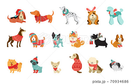 cute pet accessories