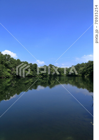 [定額] 夏の五色沼湖沼群の柳沼 ( 8月 福島県 北塩原村 ) 70935254