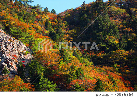 三重県三重郡菰野の紅葉の風景、秋、秋景色、秋色、【10月】 70936364