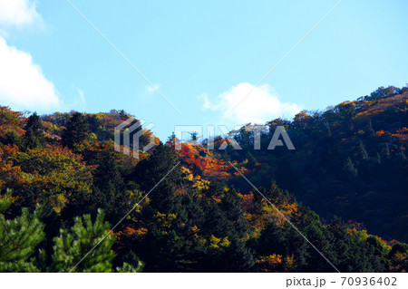 三重県三重郡菰野の紅葉の風景、秋、秋景色、秋色、【10月】 三重県三重郡菰野の紅葉の風景、秋、秋景色、秋色、【10月】 70936402