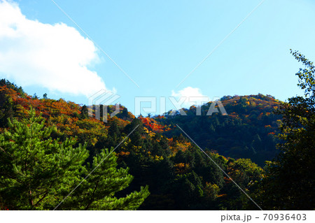 三重県三重郡菰野の紅葉の風景、秋、秋景色、秋色、【10月】 三重県三重郡菰野の紅葉の風景、秋、秋景色、秋色、【10月】 70936403