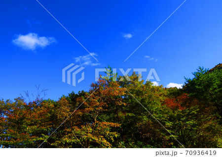 三重県三重郡菰野の紅葉の風景、秋、秋景色、秋色、【10月】 70936419