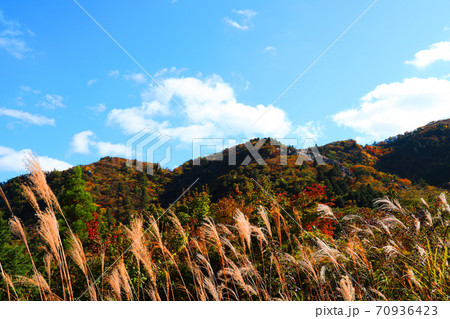 三重県三重郡菰野の紅葉の風景、秋、秋景色、秋色、【10月】 70936423