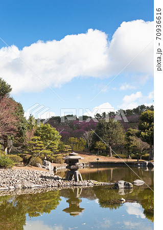 吉野公園の日本庭園 吉野公園の日本庭園 70936616