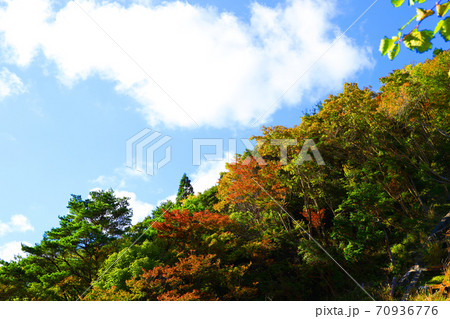 三重県三重郡菰野の紅葉の風景、秋、秋景色、秋色、【10月】 70936776